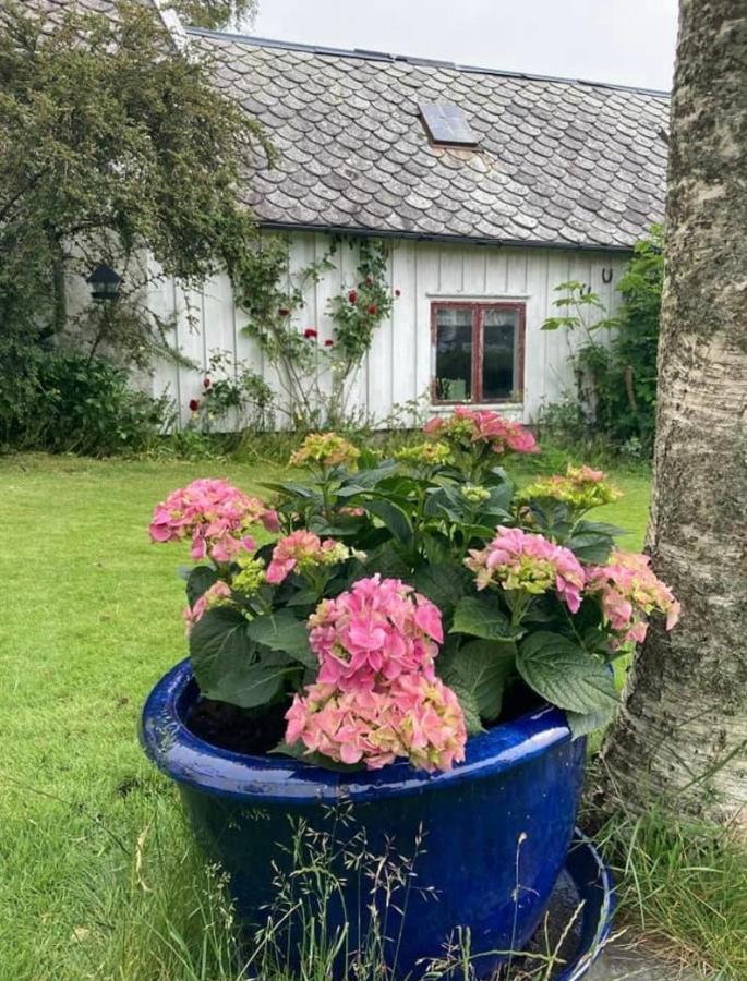 Shared Farmhouse 斯塔万格 外观 照片